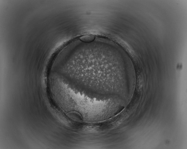 X0000101400680200807141157