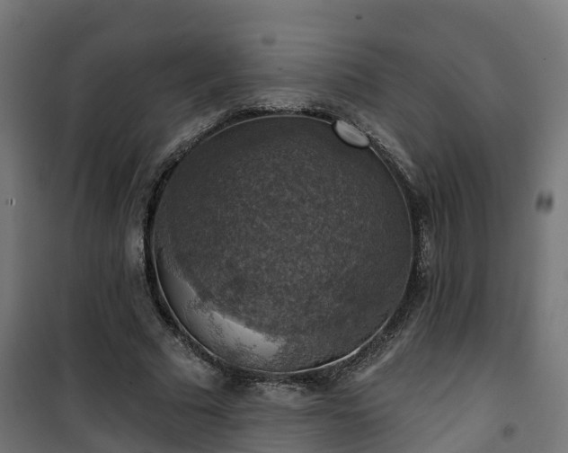 X0000101400681200807141157