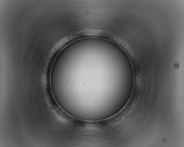 X0000101400682200807141157