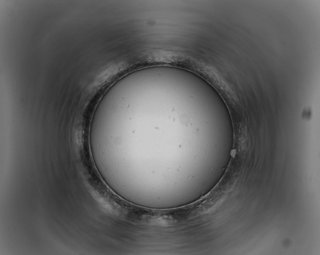 X0000101400683200807141157