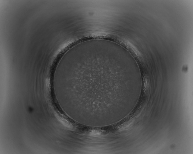 X0000101400684200807141157