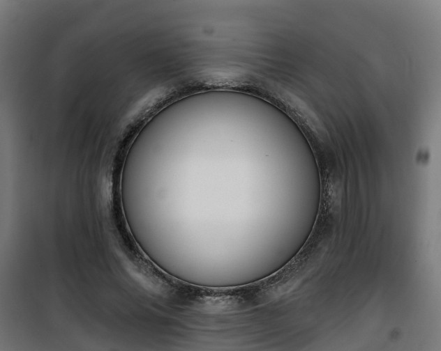 X0000101400686200807141157