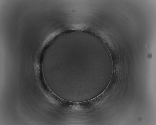 X0000101400688200807141157