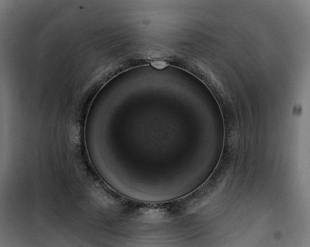 X0000101400689200807141157