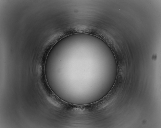 X0000101400690200807141157