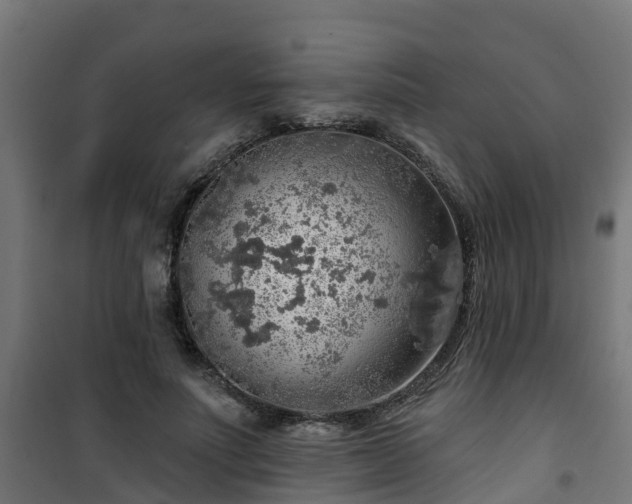 X0000101400691200807141157