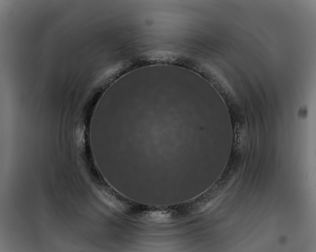 X0000101400692200807141157