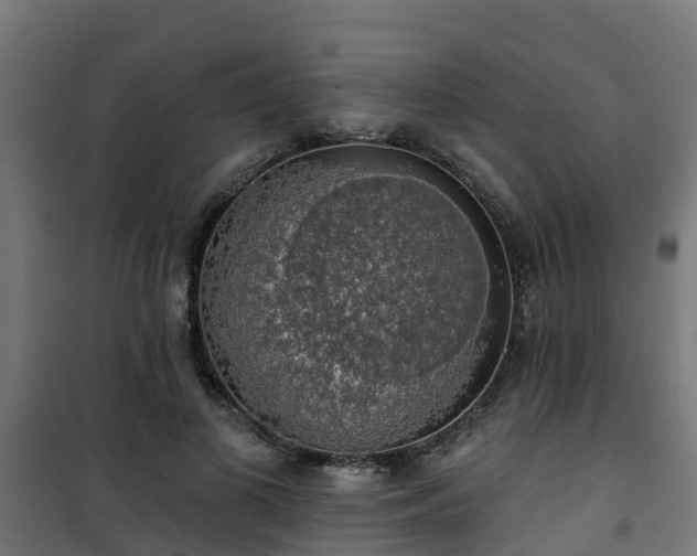 X0000101400693200807141157