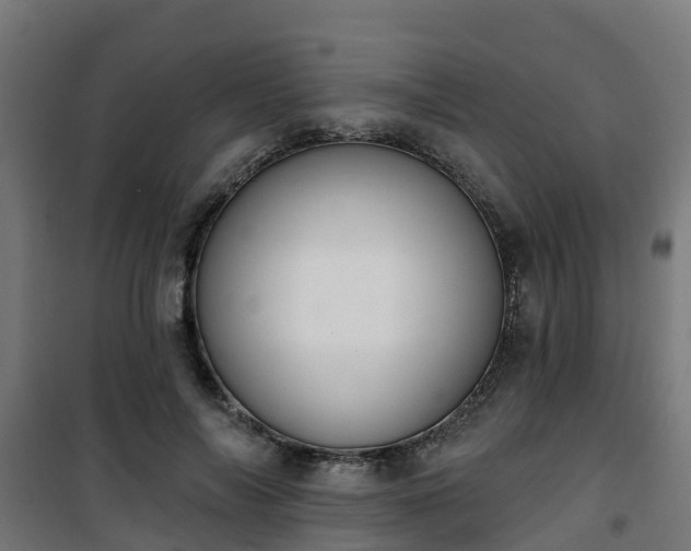 X0000101400694200807141157