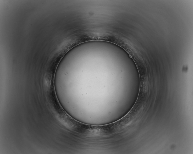 X0000101400695200807141157