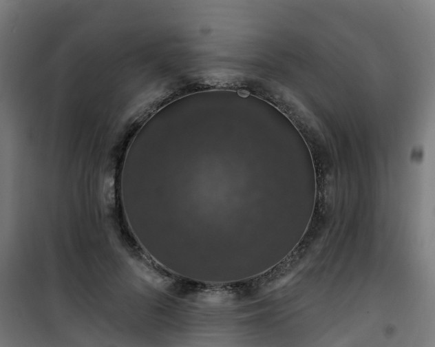 X0000101400696200807141157