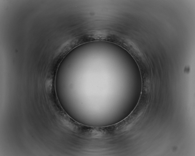 X0000101400697200807141157