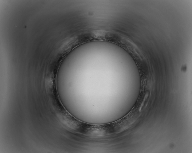 X0000101400702200807141157