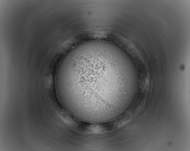 X0000101400704200807141157