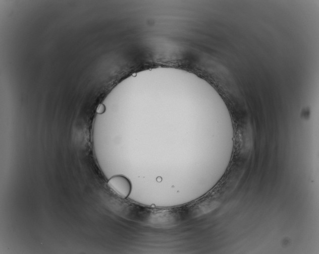 X0000101400705200807141157