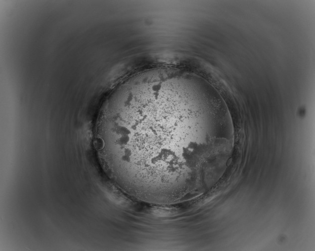 X0000101400707200807141157