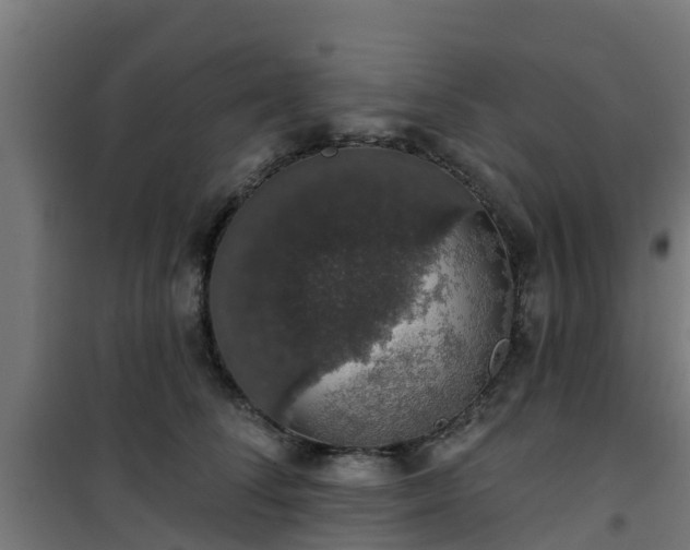 X0000101400708200807141157