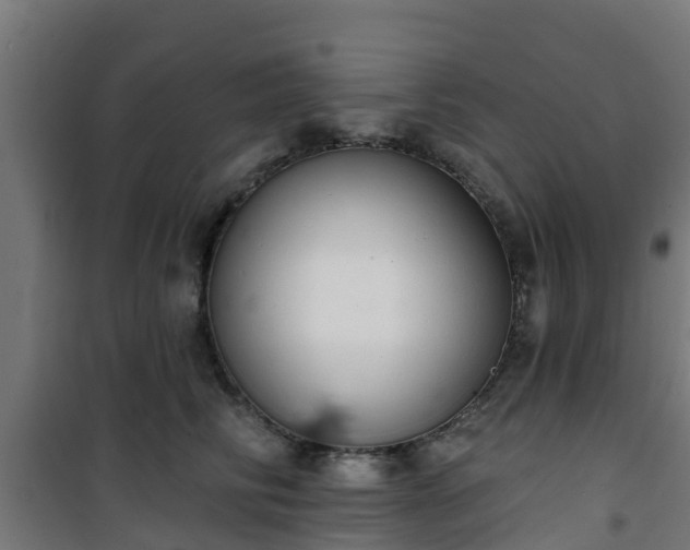 X0000101400710200807141157