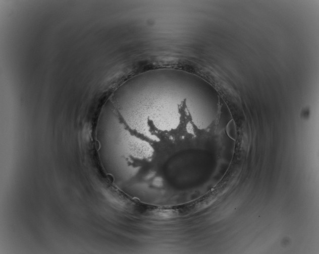 X0000101400711200807141157