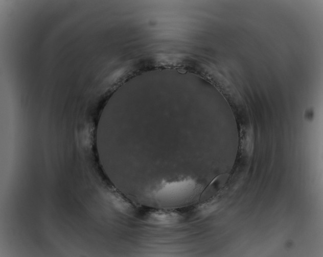 X0000101400712200807141157