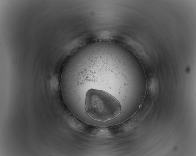 X0000101400715200807141157