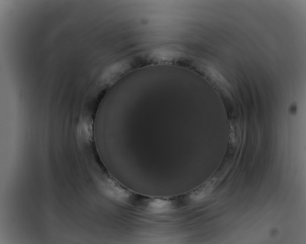 X0000101400718200807141157