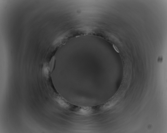 X0000101400720200807141157