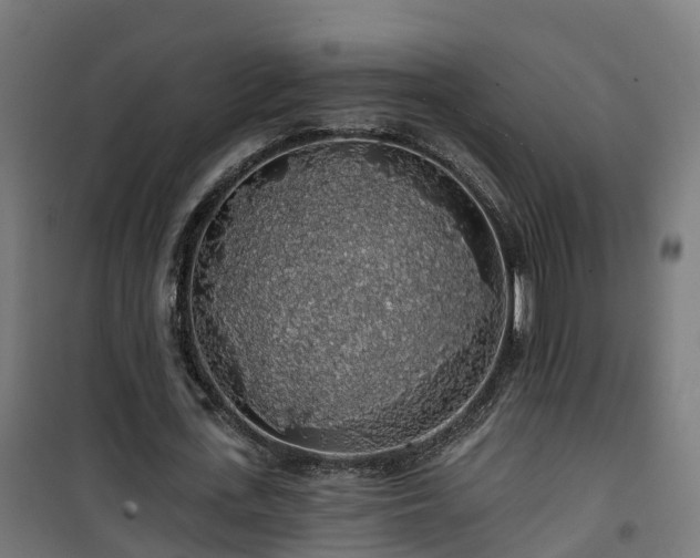 X0000101400723200807141156