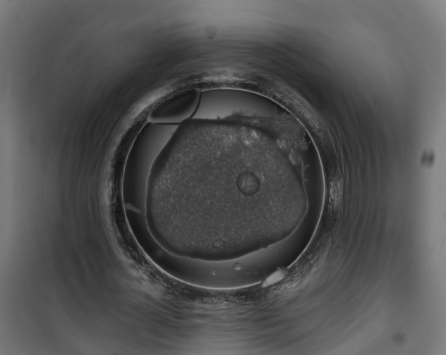 X0000101400724200807141156