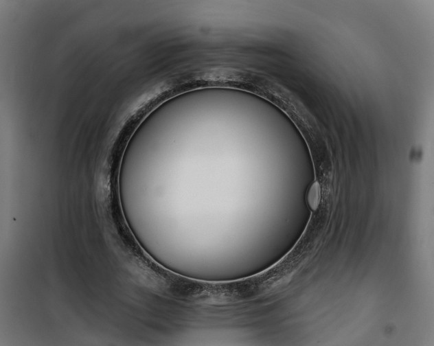 X0000101400727200807141156