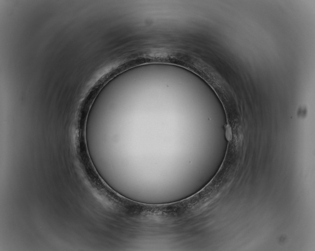 X0000101400728200807141156