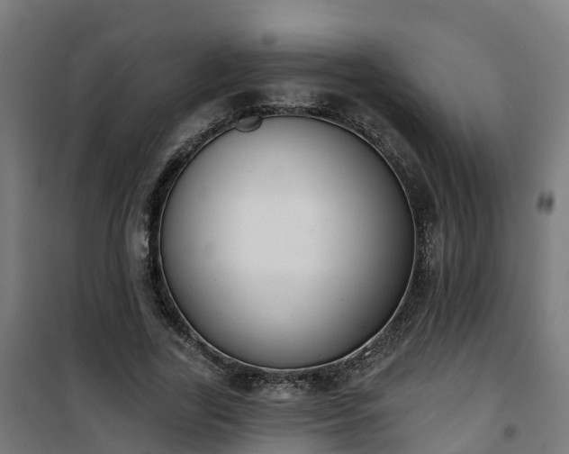 X0000101400731200807141156