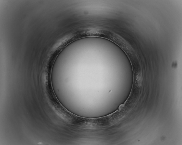 X0000101400732200807141156