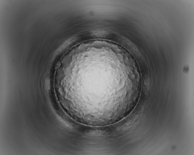 X0000101400734200807141156