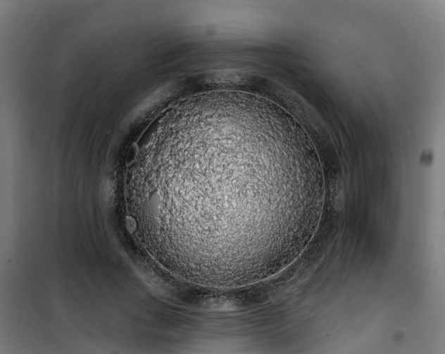 X0000101400735200807141156