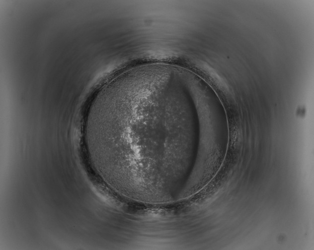 X0000101400736200807141156