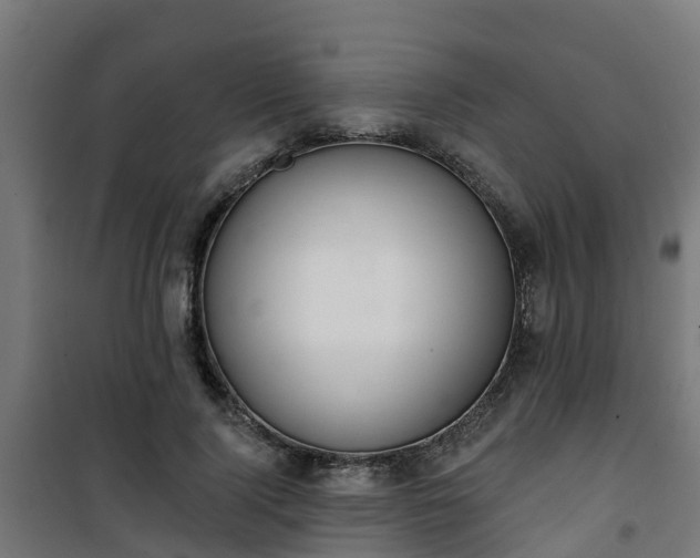 X0000101400740200807141156