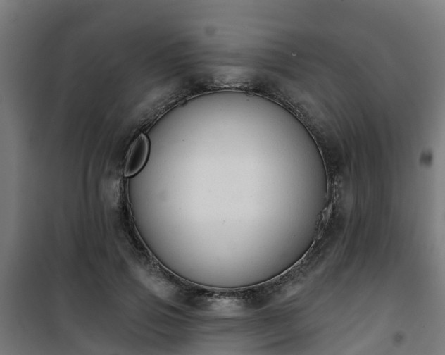 X0000101400741200807141156