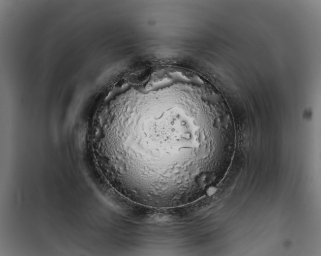 X0000101400742200807141156