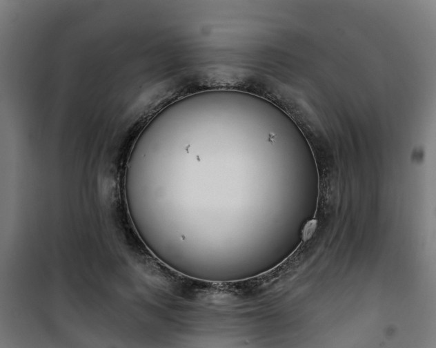 X0000101400743200807141156