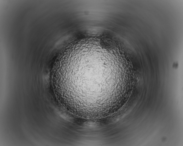 X0000101400745200807141156