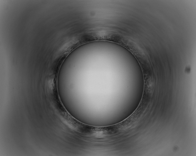 X0000101400746200807141156