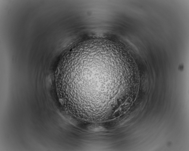 X0000101400747200807141156