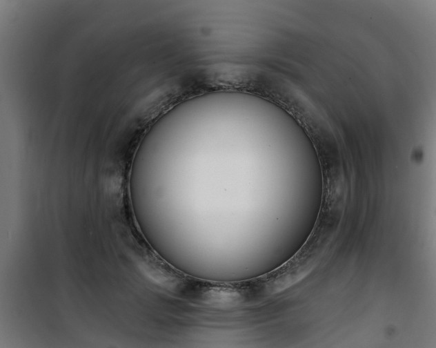 X0000101400749200807141156