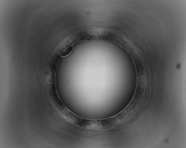 X0000101400750200807141156