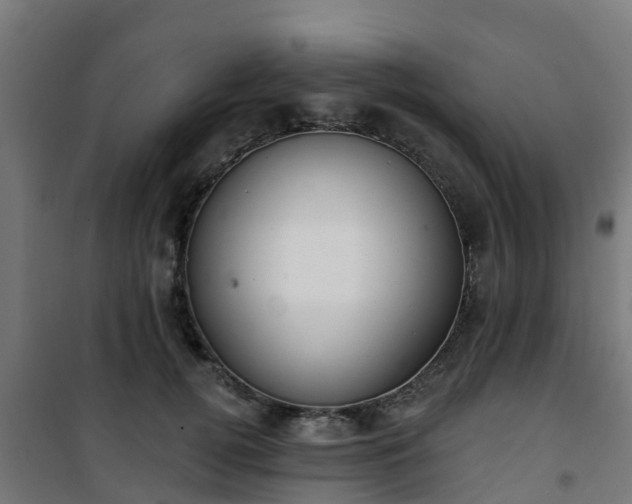 X0000101400752200807141156