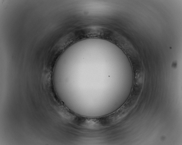 X0000101400753200807141156