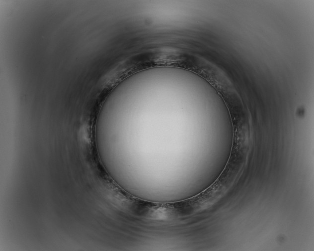 X0000101400755200807141156