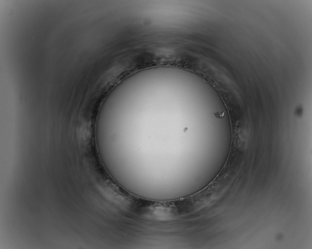 X0000101400756200807141156