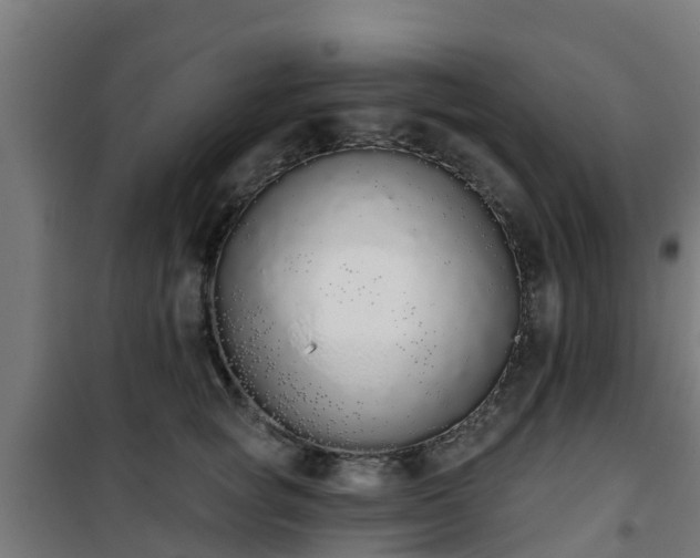 X0000101400757200807141156